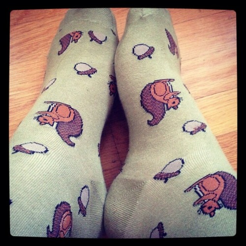 Socks worn on 2014-03-19 — Quarter Nuts