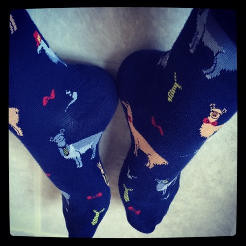 Socks worn on 2017-04-28 — Learning Lamas